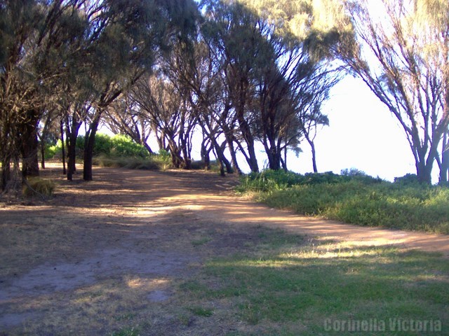 Beach Side Walking Tracks  off Cuthbert Street Corinella Victoria